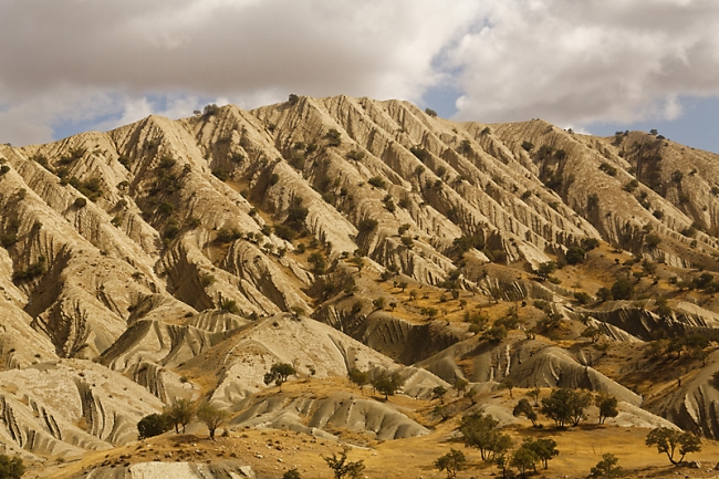 Tâq-e Bostân-Sur la route-029